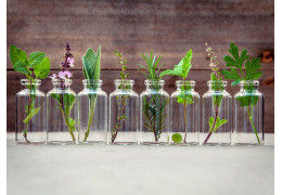 Essential oils To fight against the ill health of winter